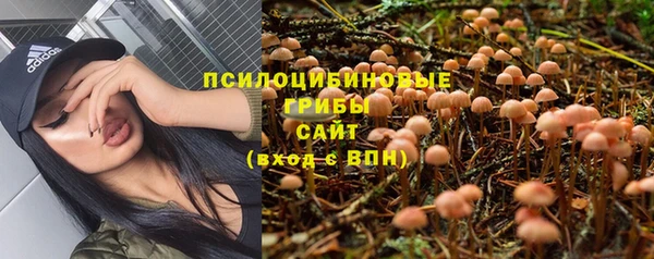spice Армянск