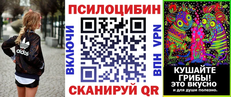 Галлюциногенные грибы Cubensis  Чернушка 
